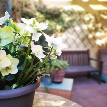 Casapatrizia Art Bed & Breakfast